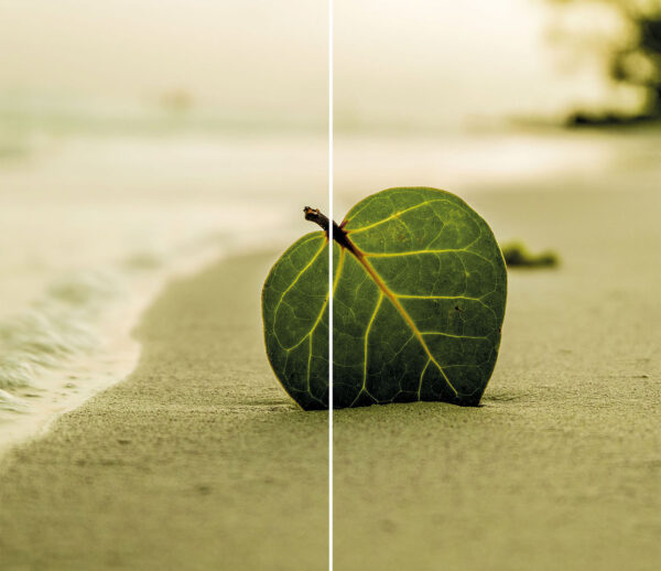 Szklana płyta ochronna na kuchenkę - plaża,liść